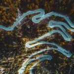 Steffi Brisch - Mikrobiom-Analyse - Darmgesundheit - Darmklar