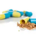 STEFFI BRISCH - Darmbakterien